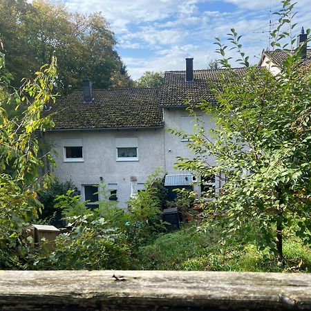 In Saarbruecken Stadtnahe Gemuetliche Wohnung Am Deutsch-Franzoesischen Garten Ngoại thất bức ảnh