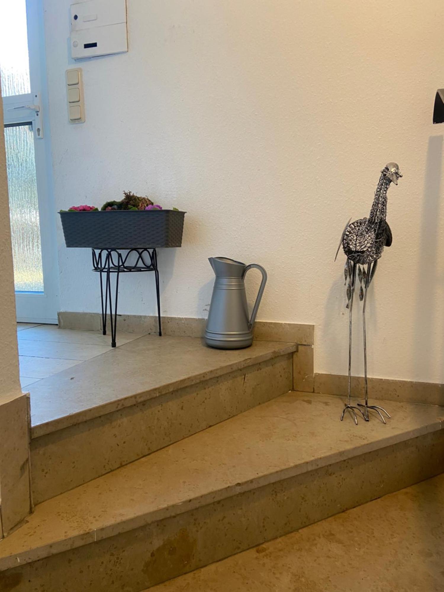 In Saarbruecken Stadtnahe Gemuetliche Wohnung Am Deutsch-Franzoesischen Garten Ngoại thất bức ảnh