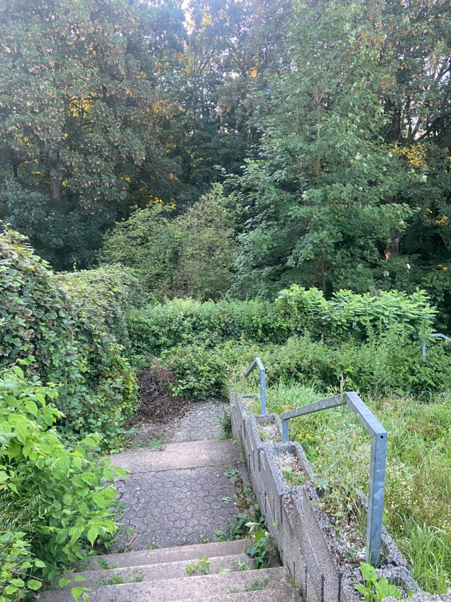 In Saarbruecken Stadtnahe Gemuetliche Wohnung Am Deutsch-Franzoesischen Garten Ngoại thất bức ảnh